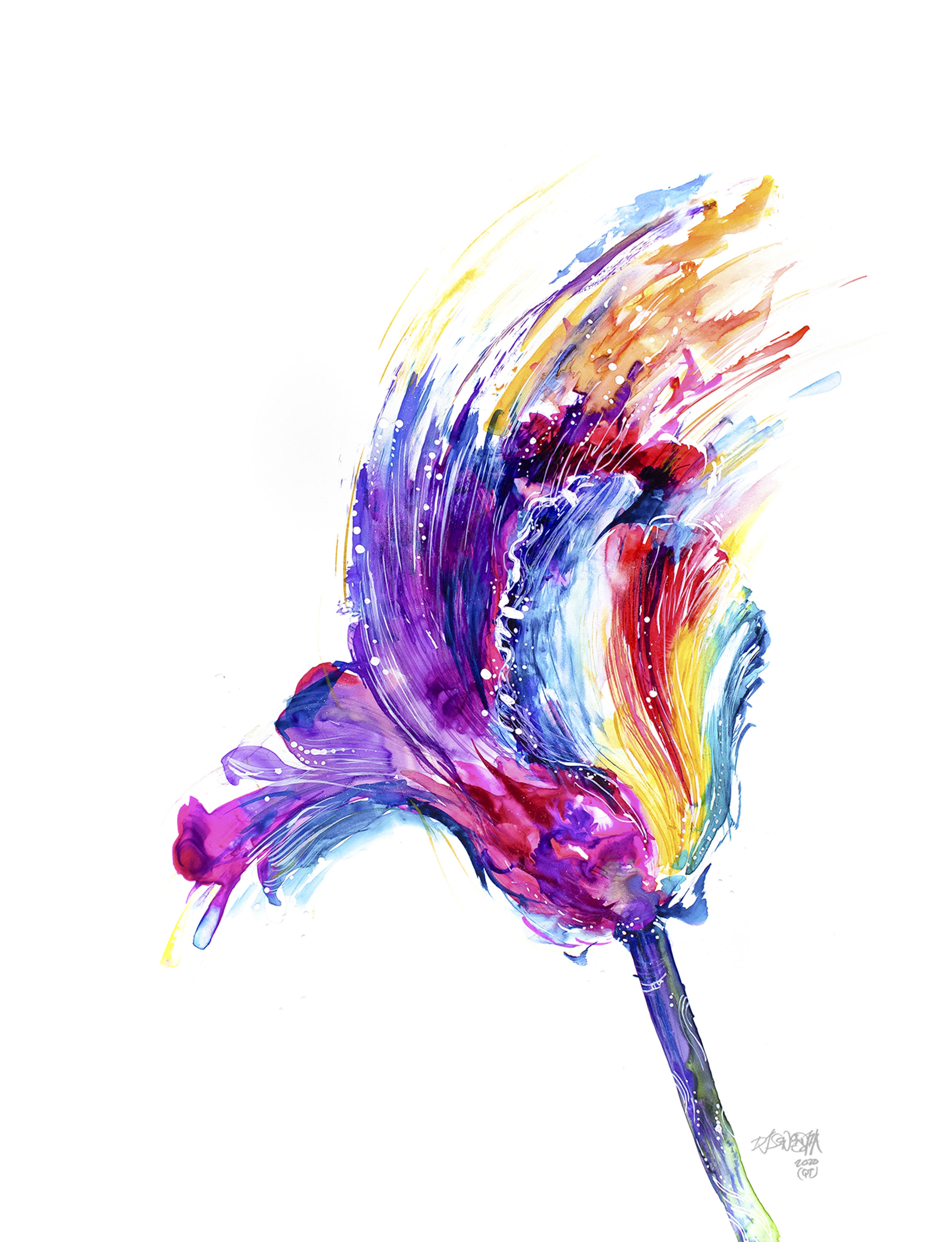 Homage pt1 - Parrot Tulip