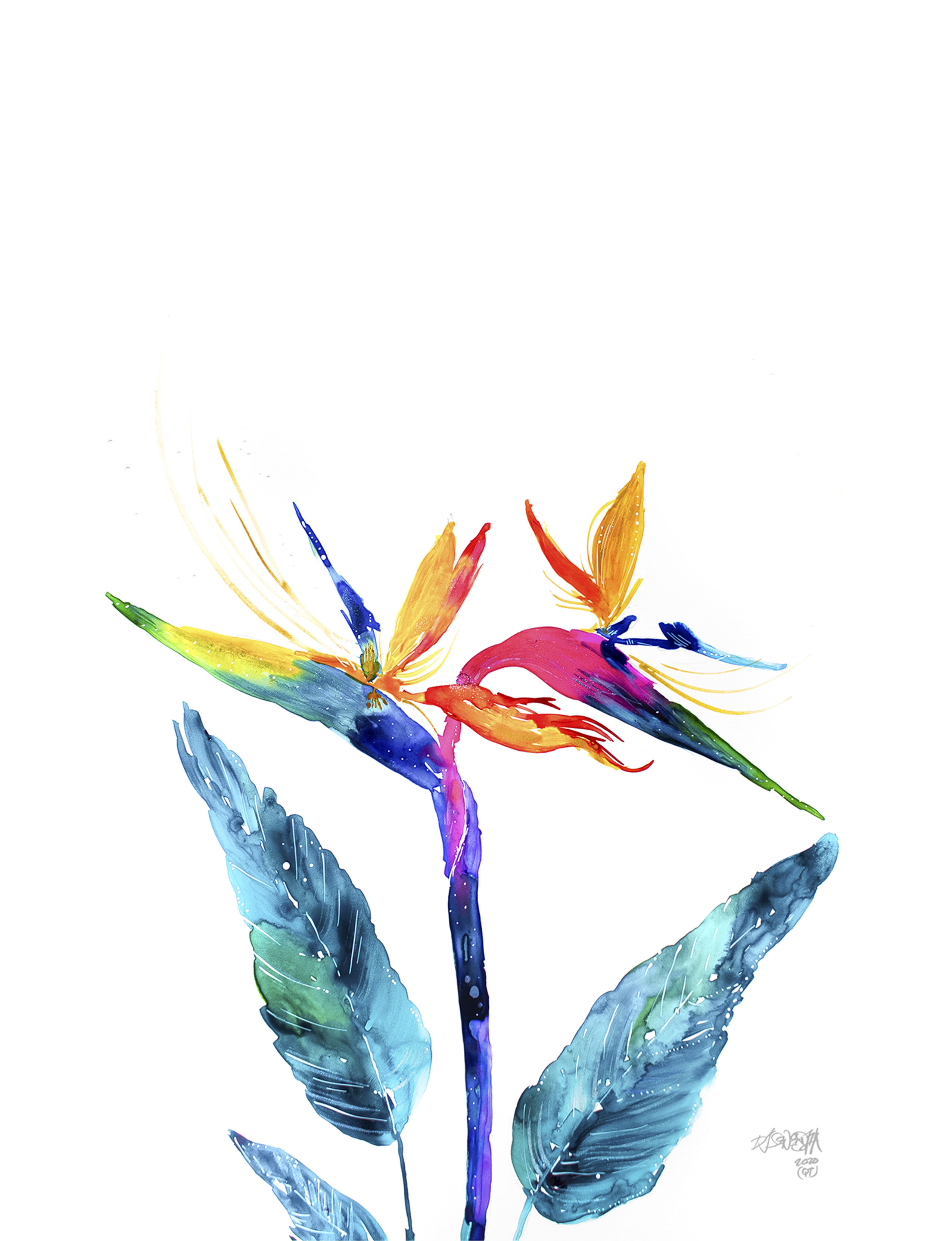 Homage pt1 - Bird of Paradise